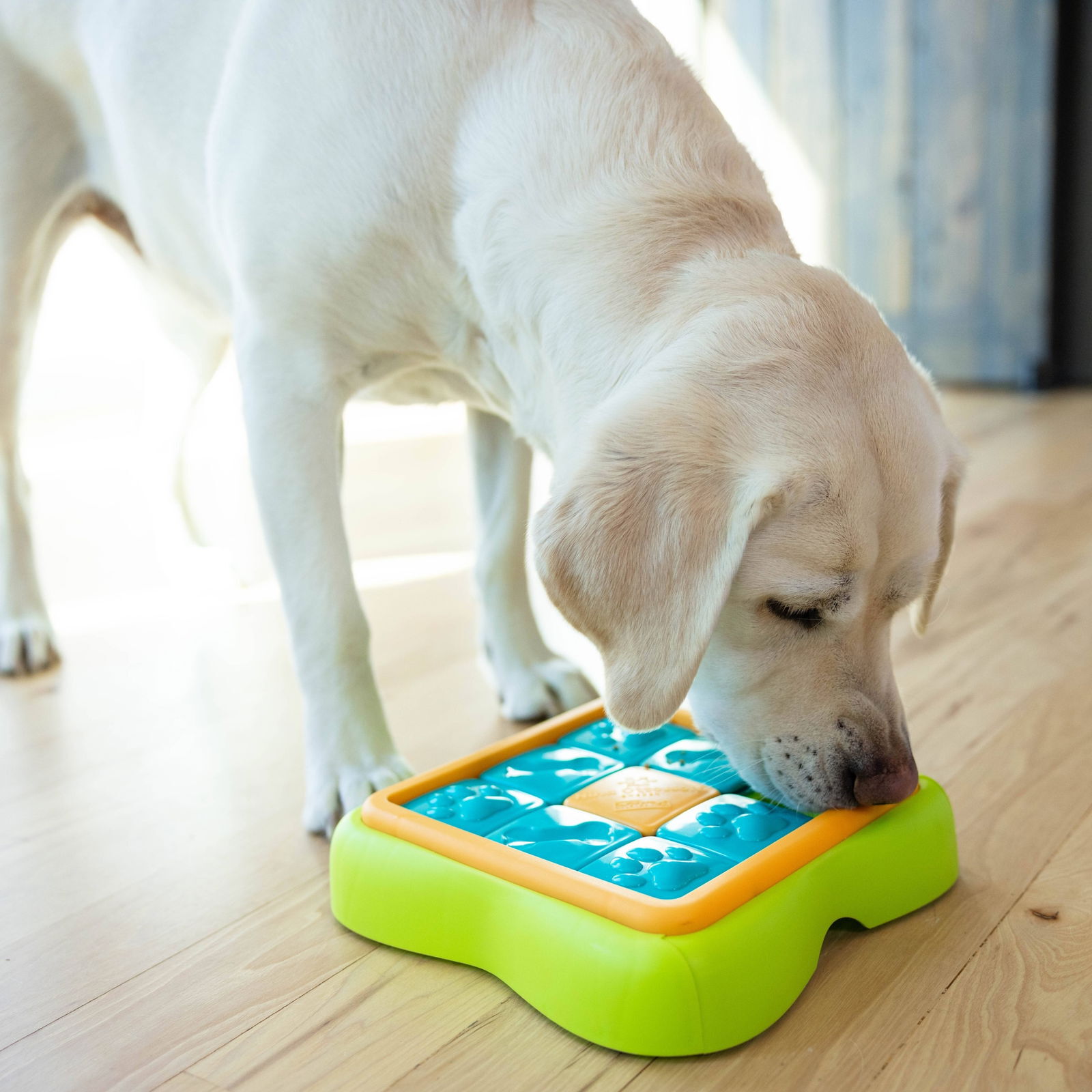 Nina Ottosson Challenge Slider S