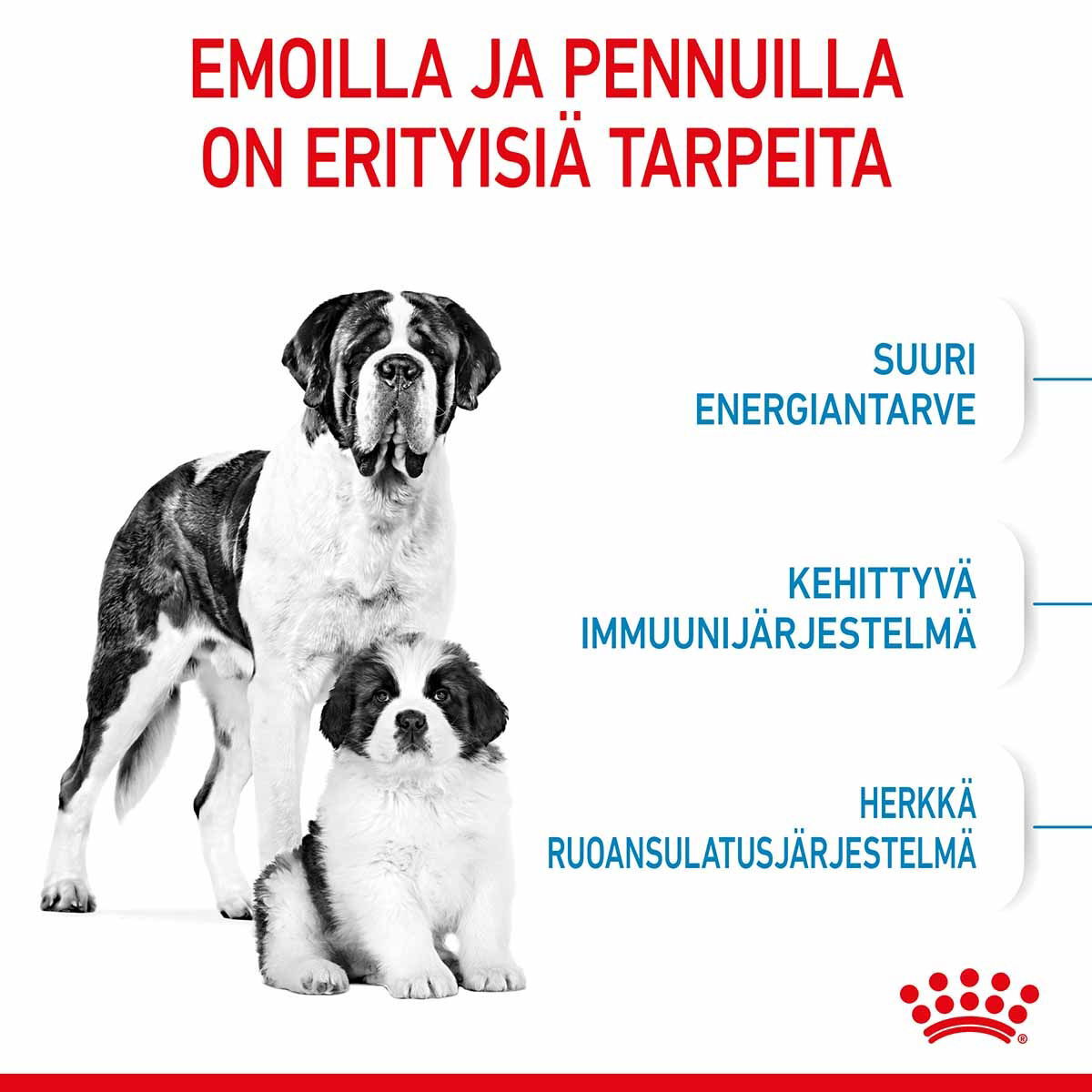 Royal Canin Giant Starter