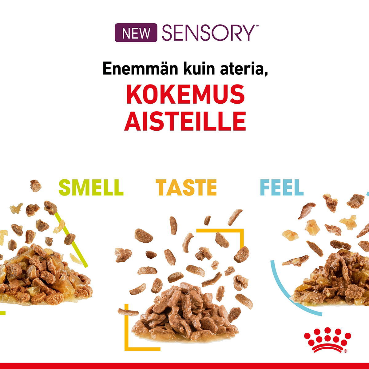 Royal Canin Sensory Taste Gravy Adult kissan märkäruoka