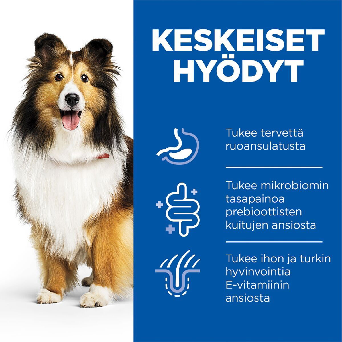 Hill's Science Plan Dog Sensitive Stomach & Skin Chicken & Vegetables 370g