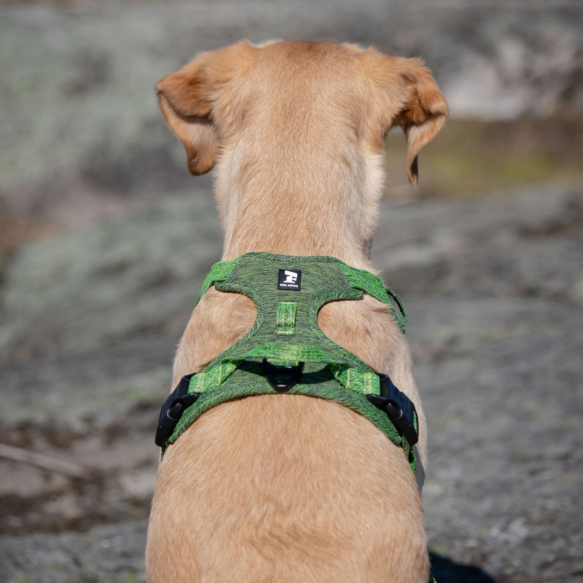 Feel Active Training harness Forest Green