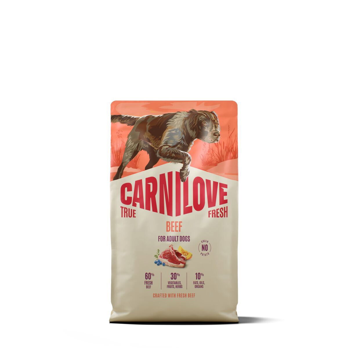 CARNILOVE TRUE FRESH dog dry beef for adult all breeds