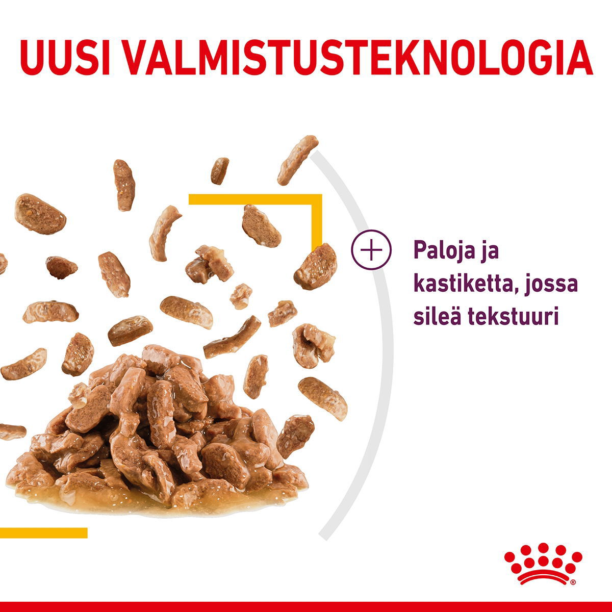 Royal Canin Sensory Taste Gravy Adult kissan märkäruoka