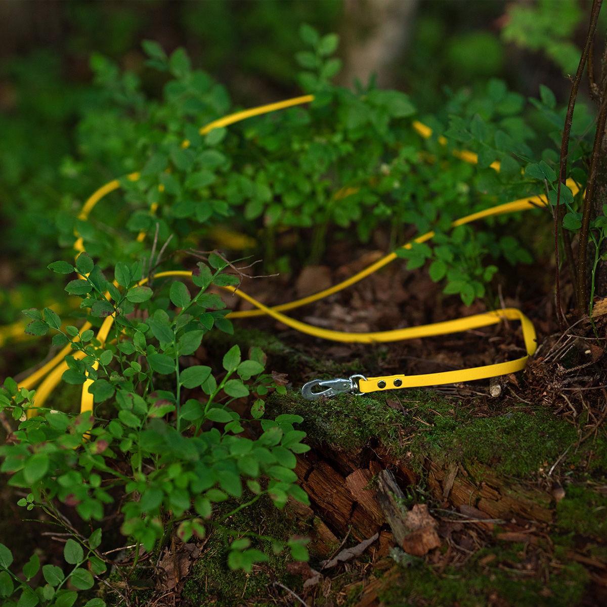Tracking leash Tyylivoitto Working 10m, yellow