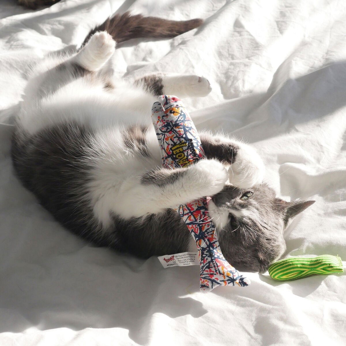 Yeowww! Pollock Fish