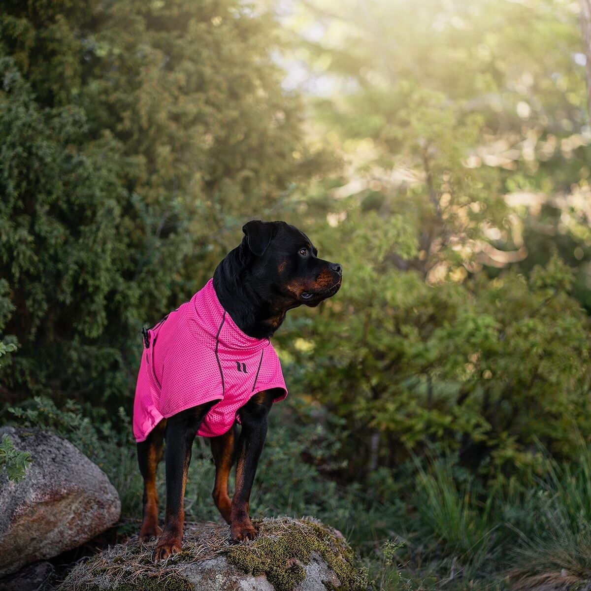 Back on Track Mesh jacket Limited Edition, Hot Pink