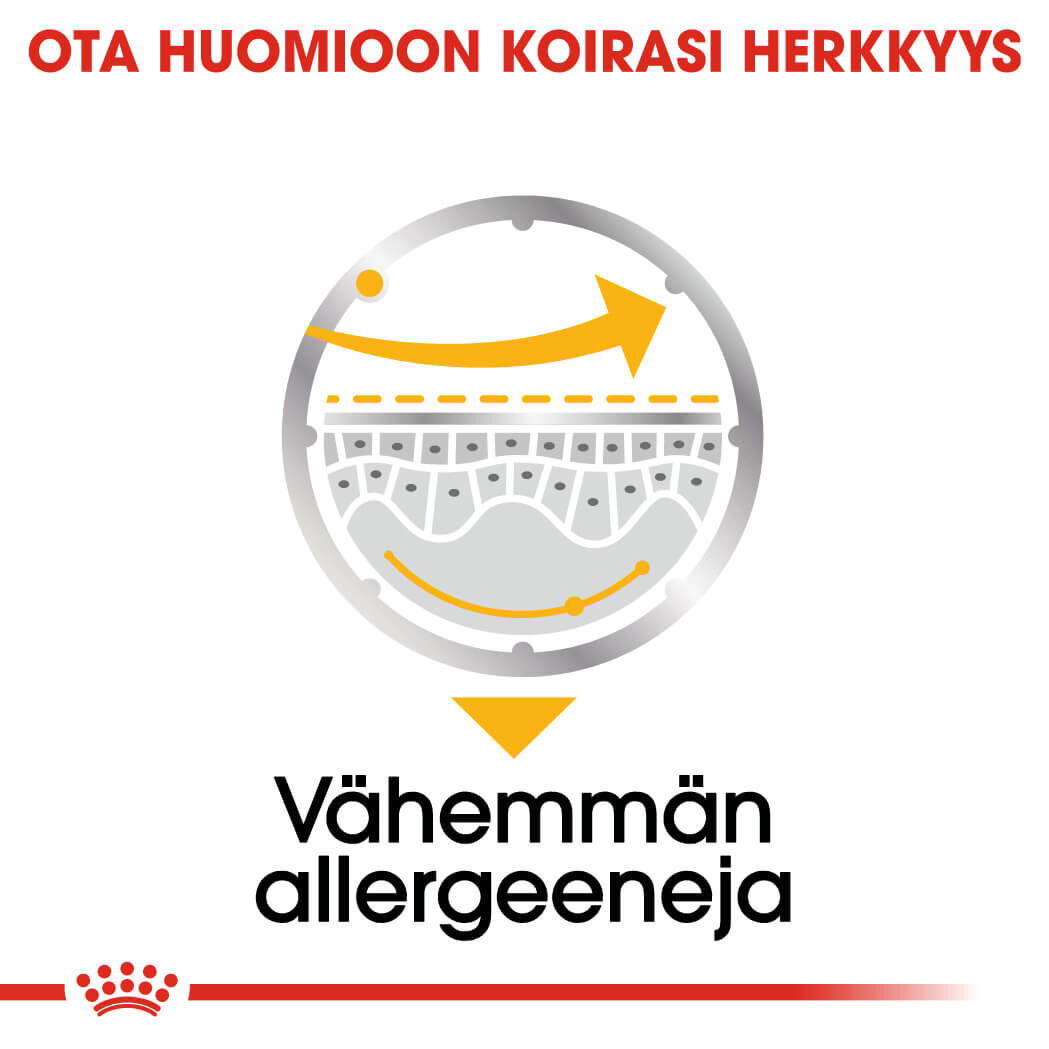 Royal Canin Dermacomfort Adult Loaf koiran märkäruoka