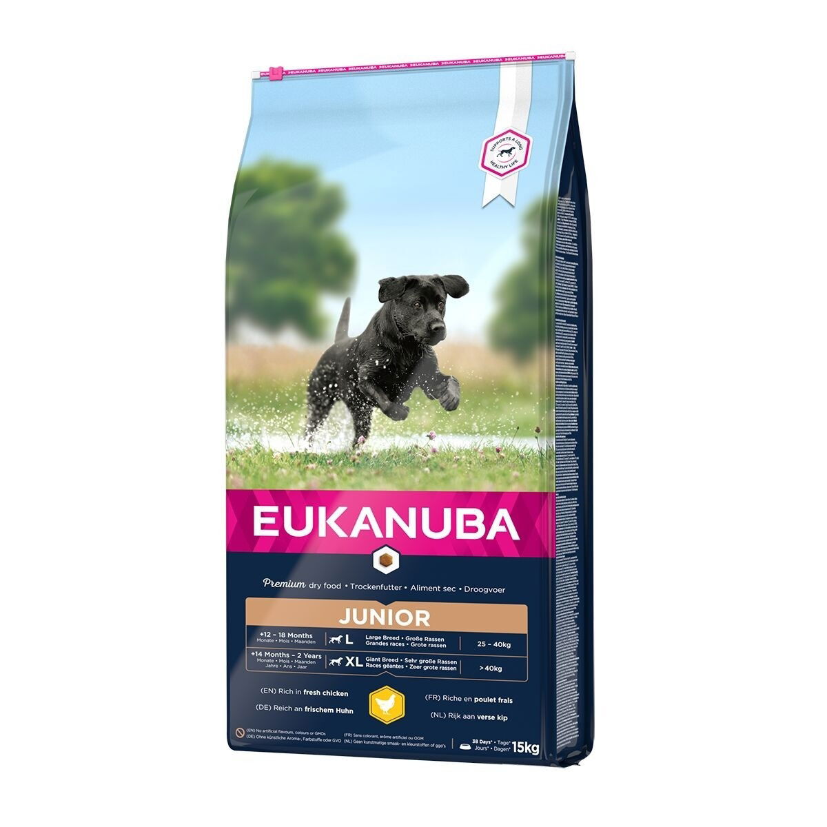 Eukanuba Junior Large 