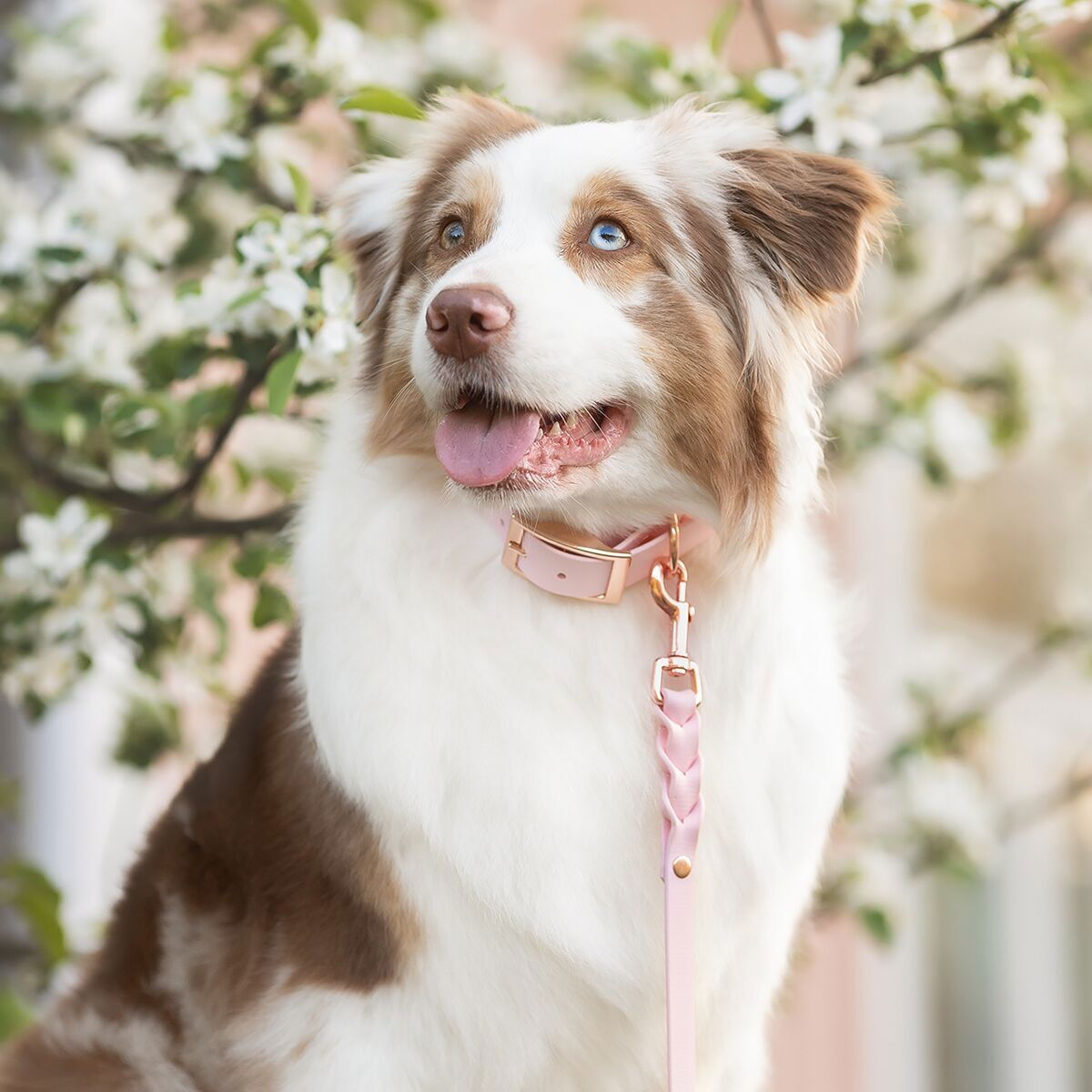 Tyylivoitto Braid leash, baby pink