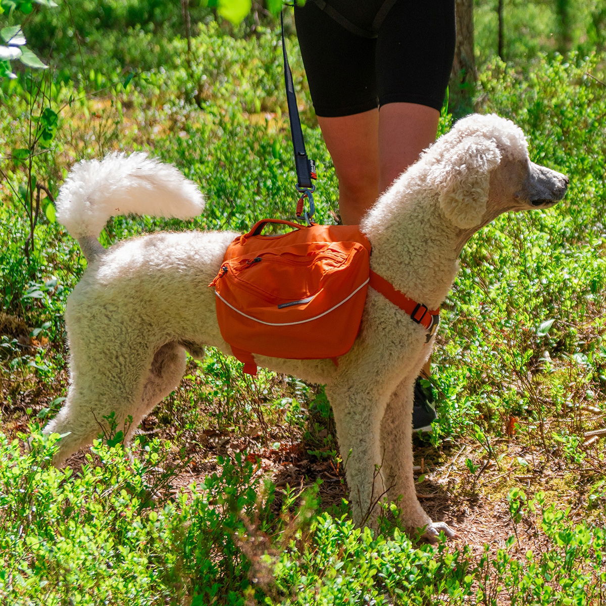 Ruffwear Approach Pack, Campfire Orange