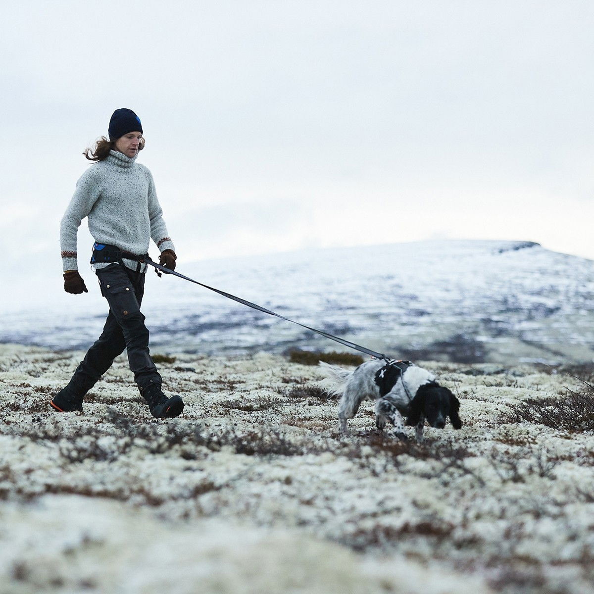 Non-stop Touring Bungee Leash 3.8m