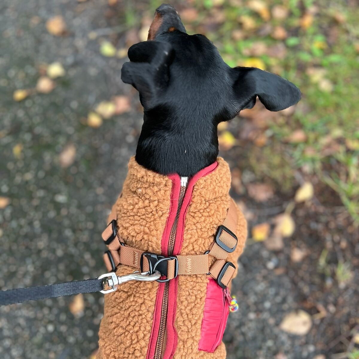 51 Degrees North Jules Harness Coat, brown