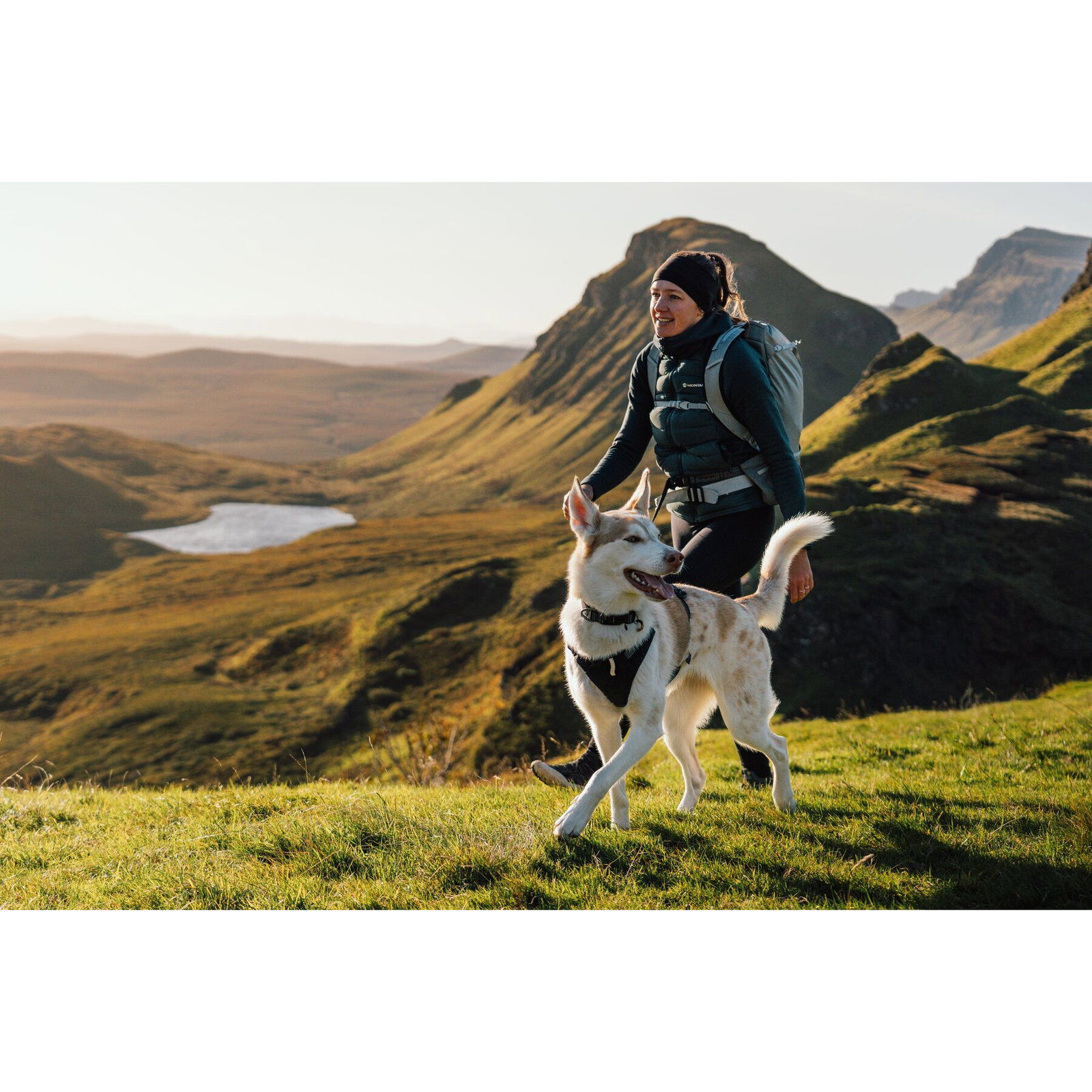 Ruffwear Ridgeline Harness Obsidian Black