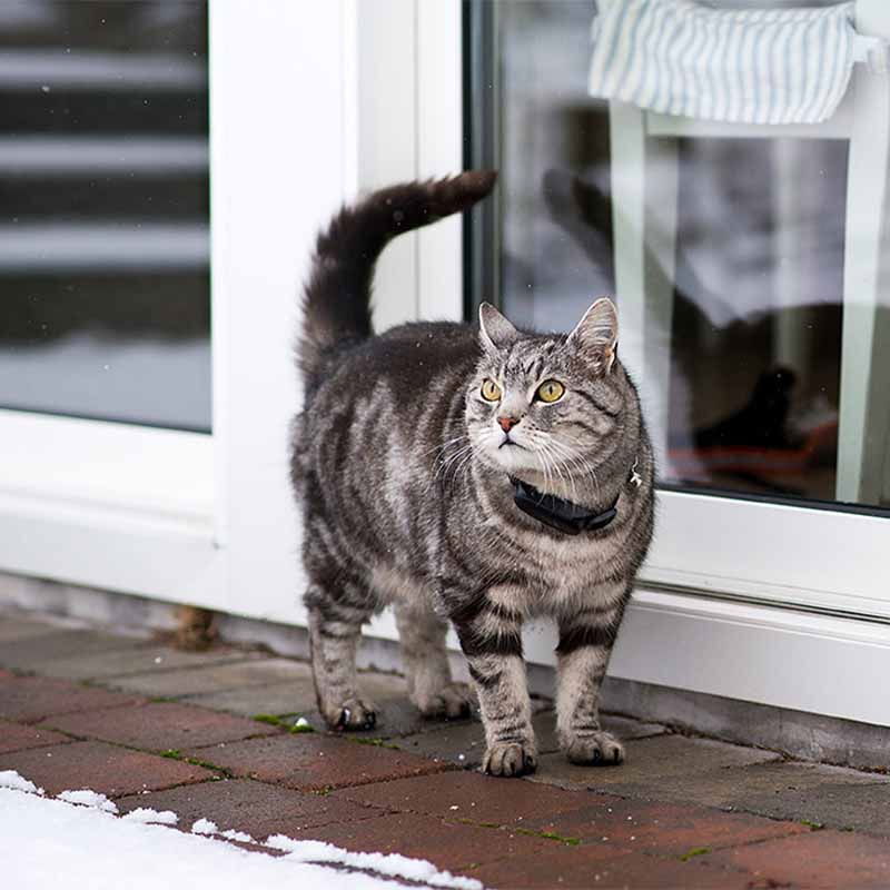 MiniFinder Atto Pro GPS-paikannin