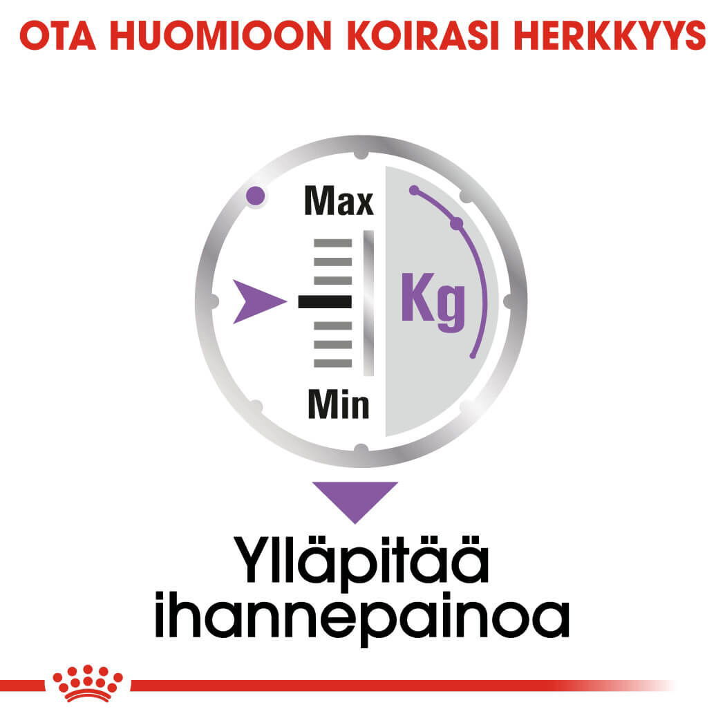 Royal Canin Sterilised Adult Loaf koiran märkäruoka