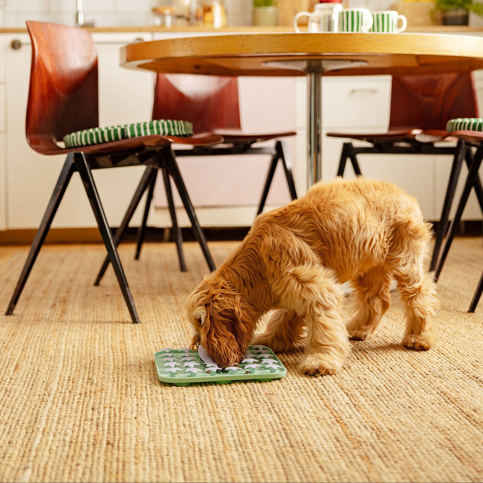 Little&Bigger Moon Man 3D nuuskulautanen kuu ja tähdet turkoosi