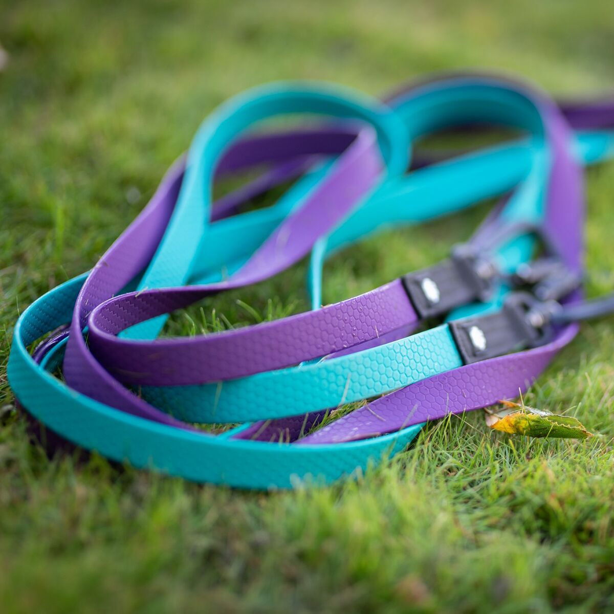 Salmiakkitassu hexa leash with twistlock 3m