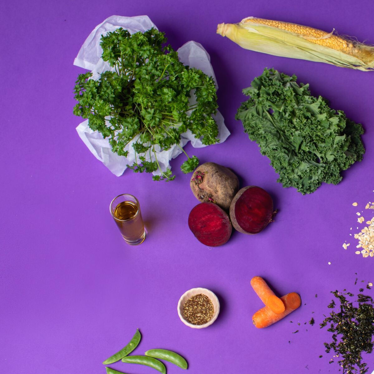 Petgood insect-based cat food adult