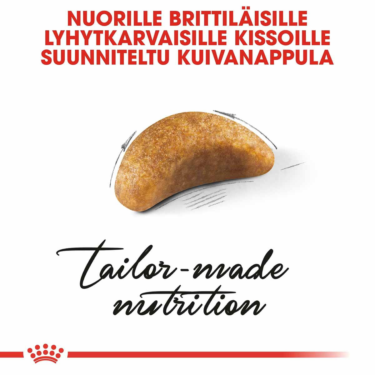 Royal Canin British Shorthair Kitten kissanpennun kuivaruoka