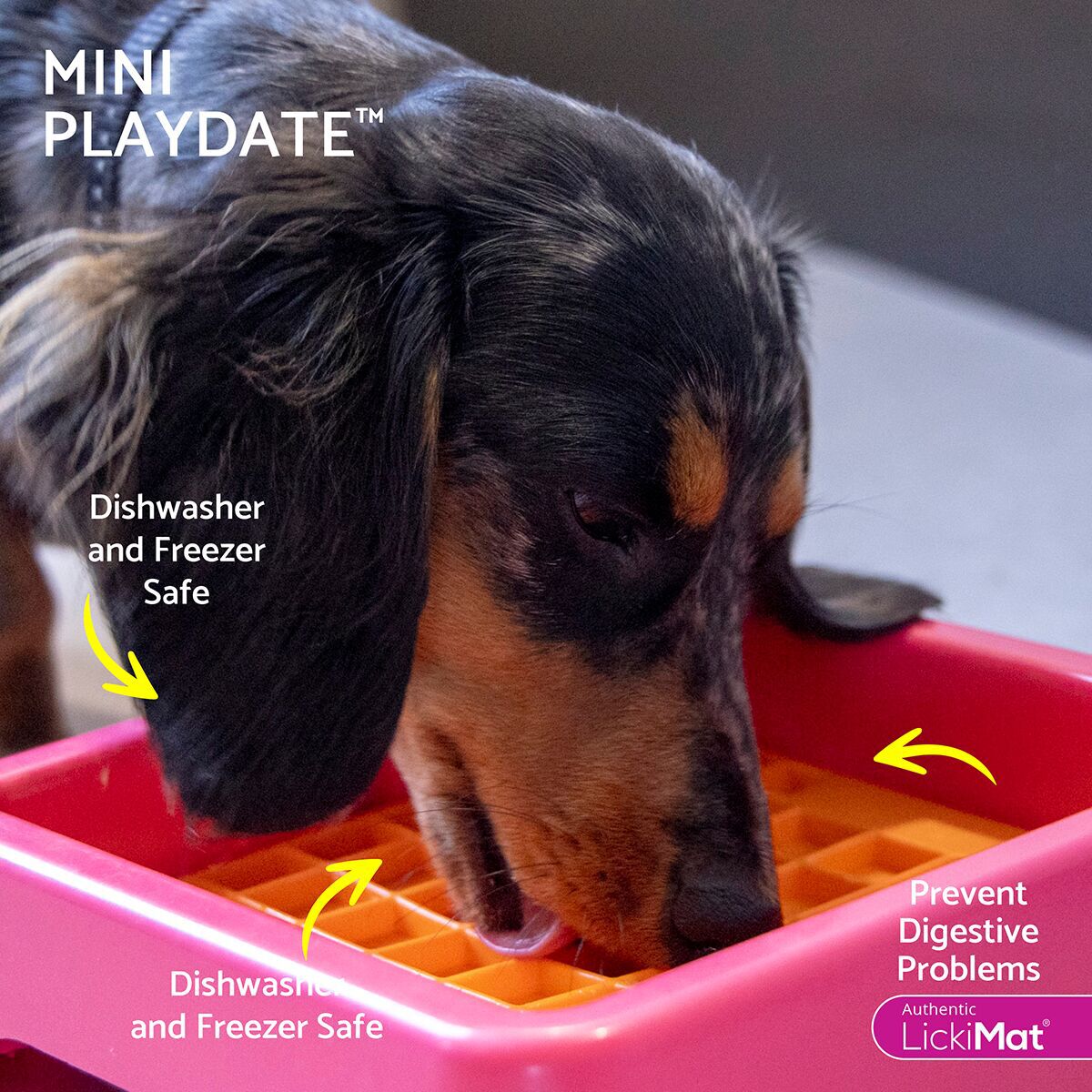 LickiMat Mini Playdate Dog