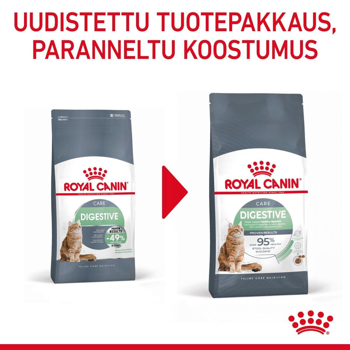 Royal Canin Digestive Care Adult kissan kuivaruoka