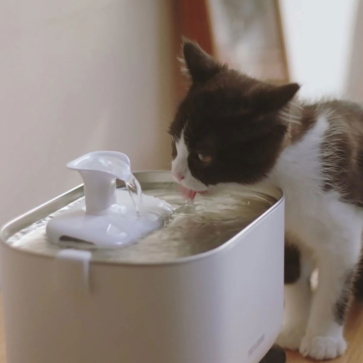 Petlibro Dockstream filters