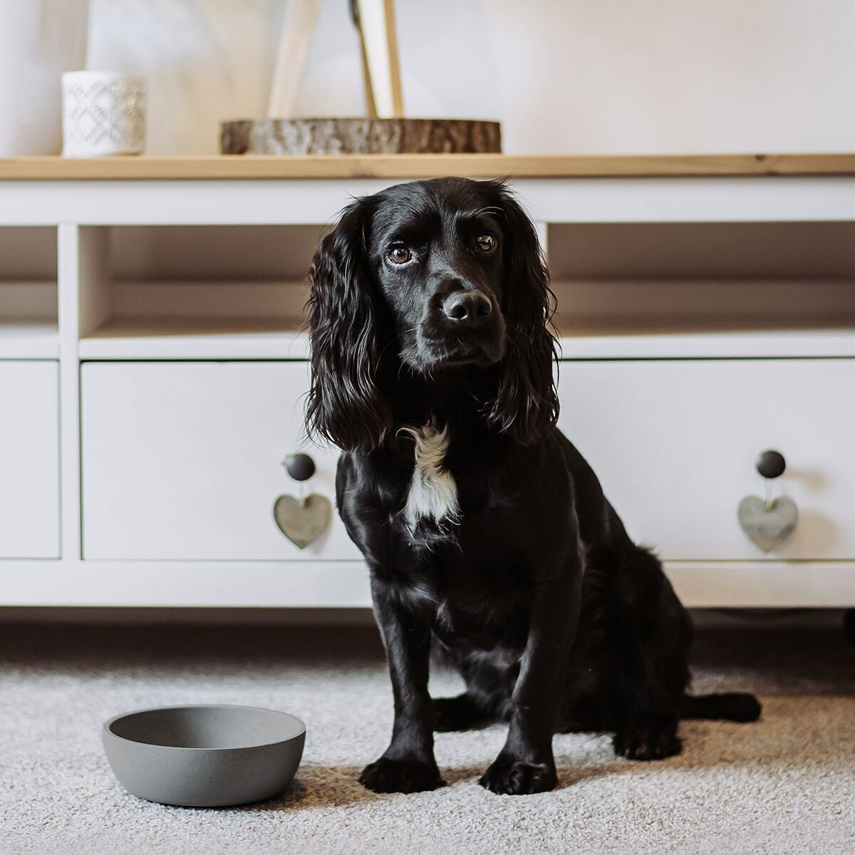 Bamboo bowl District 70, Grey