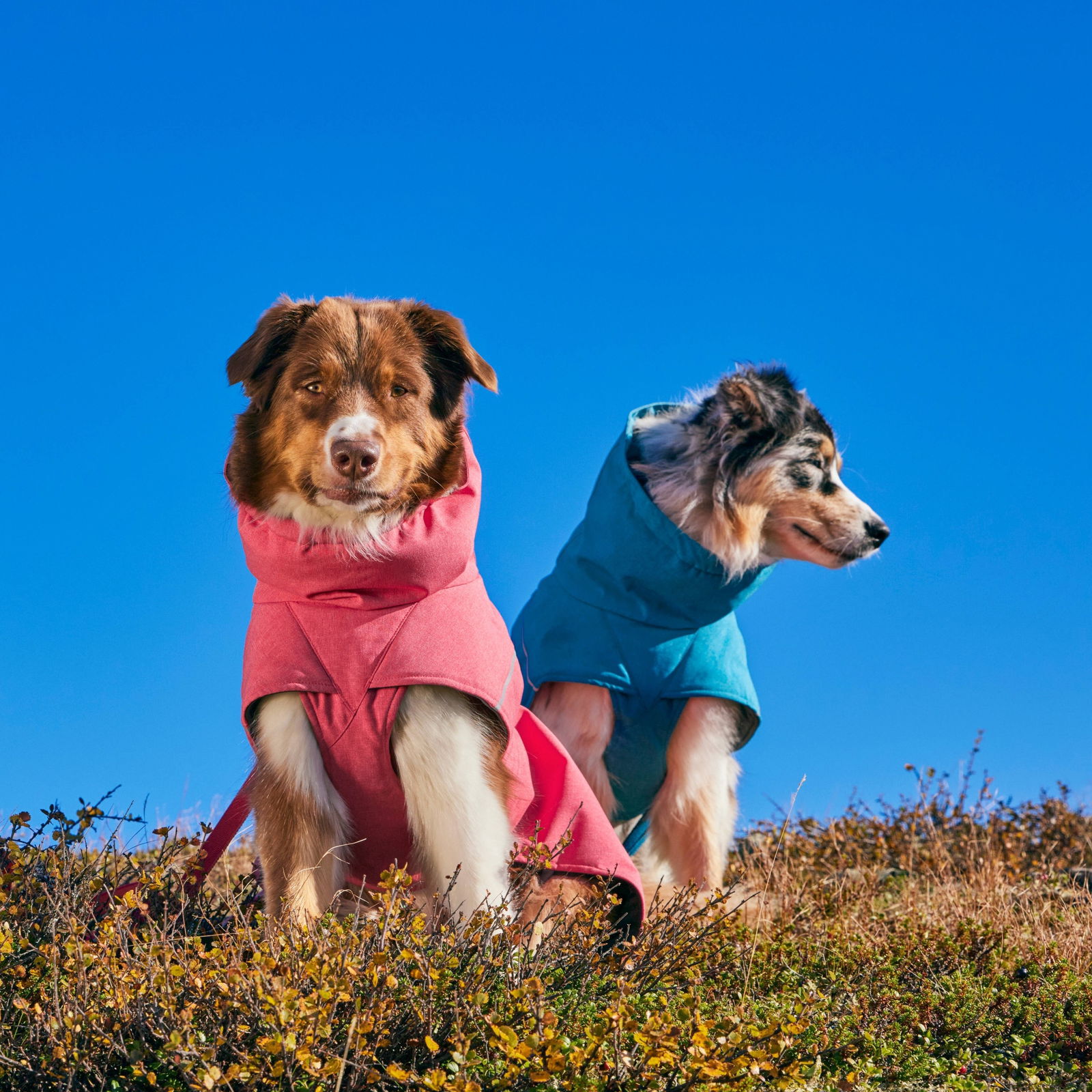 Hurtta Expedition Parka II talvitakki punainen