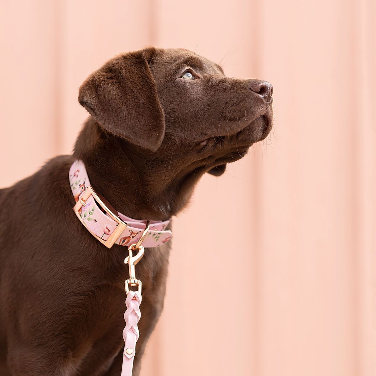 Tyylivoitto Unique collar Floral Fawns