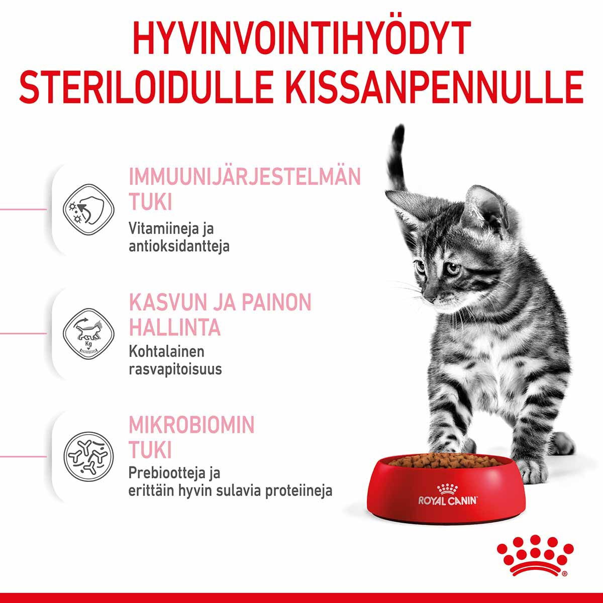 Royal Canin Kitten Sterilised kissanpennun kuivaruoka