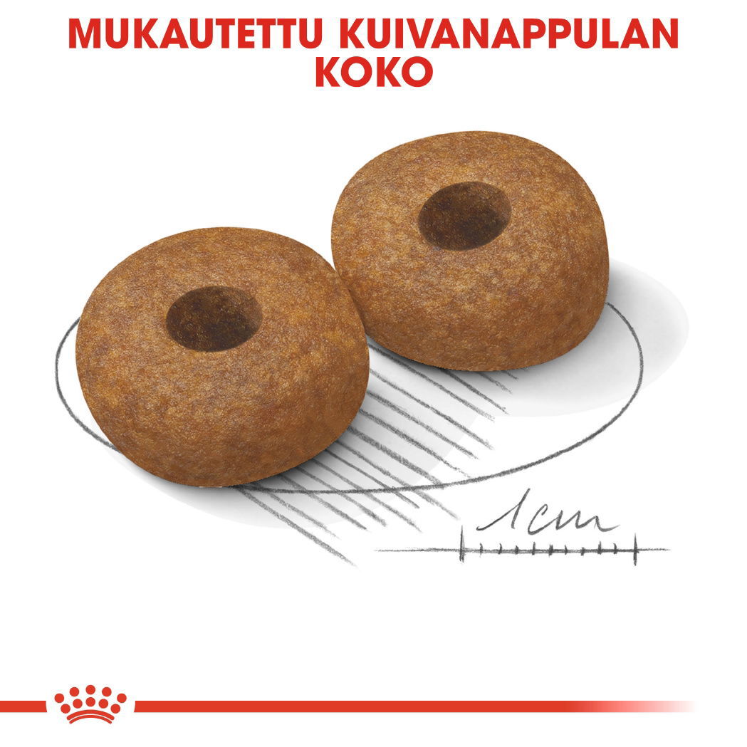 Royal Canin Medium Ageing 10+ koiran kuivaruoka