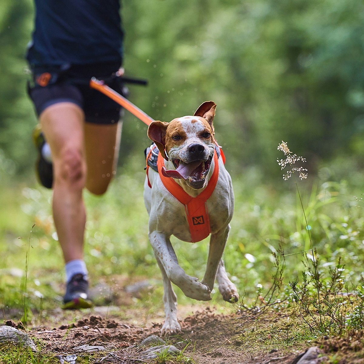 Non-Stop Freemotion valjas 5.0 musta/oranssi