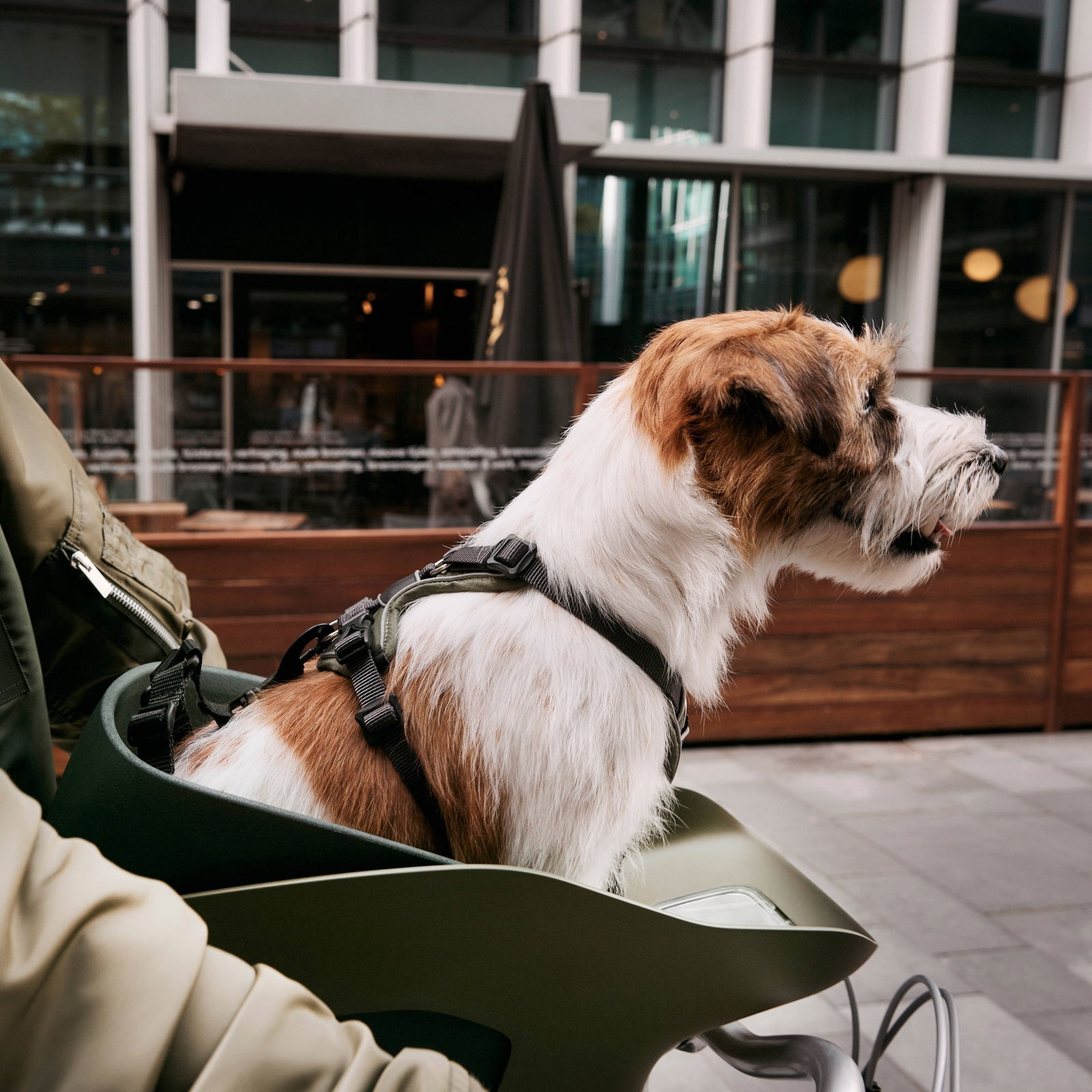 Kvisp pyöränkori matkavaljailla keskiyön harmaa