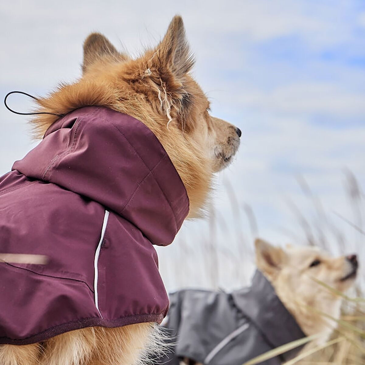 Hurtta Mudventure sadetakki ECO munakoiso