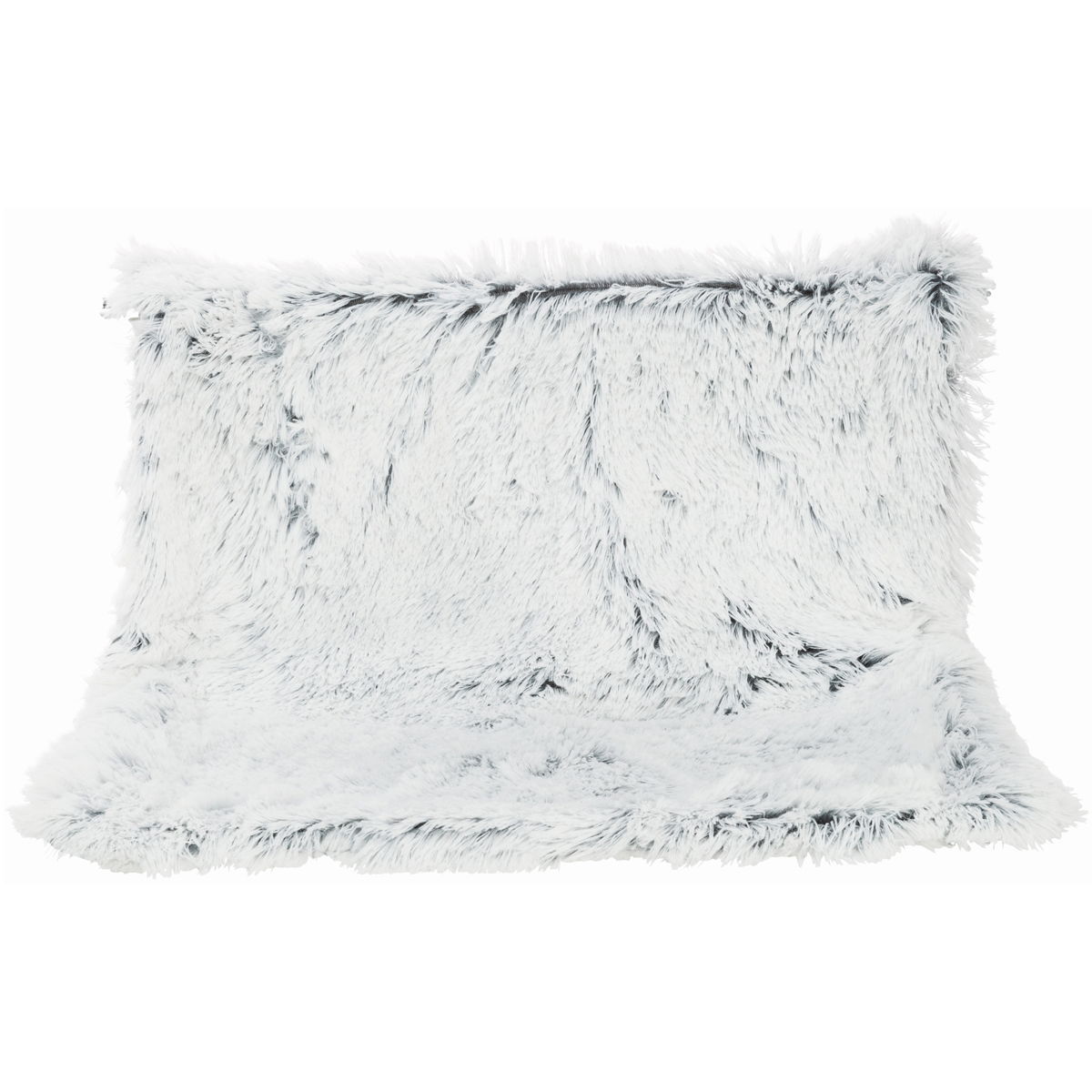 Trixie patteripeti Harvey