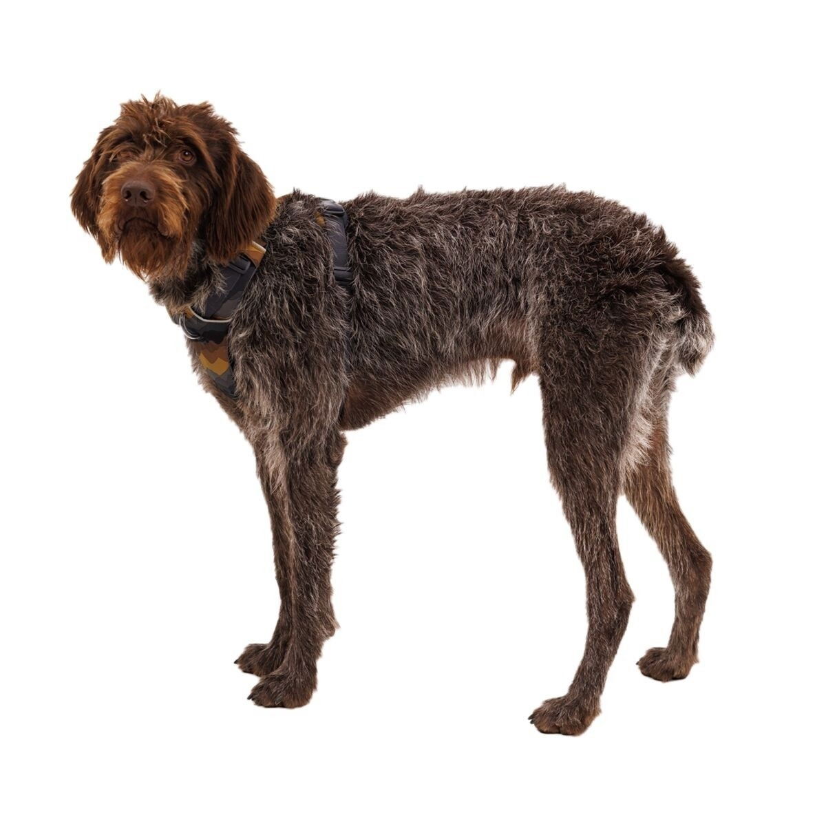 Ruffwear Front Range Harness Moonlight Mountains