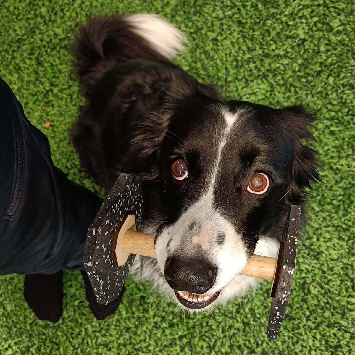 Loype Dumbbell Tartan-rubber