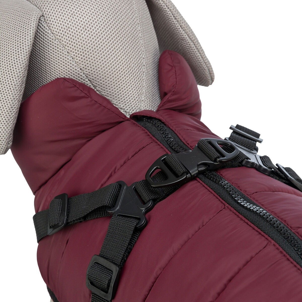 Trixie Pirou coat with harness, sangria