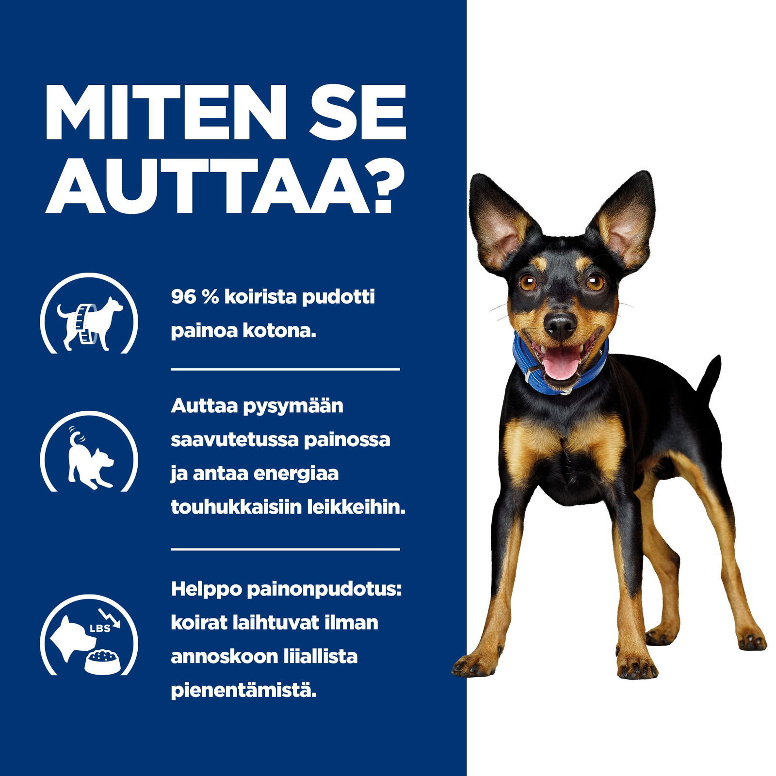 Hill's PD Canine Metabolic Mini Stew Chick&Veg 156g