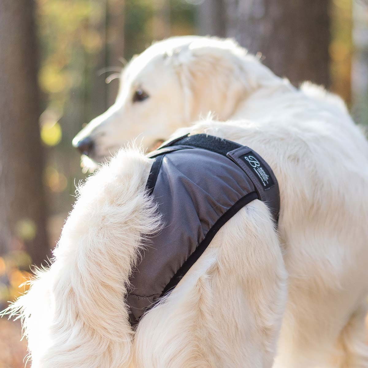 FinNero Brenda narttusuoja harmaa