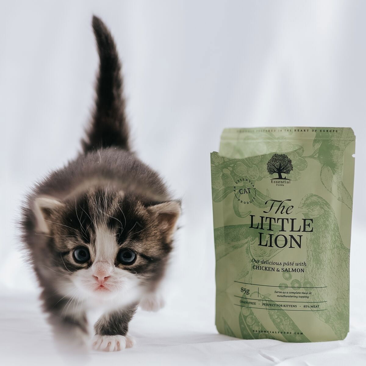 ESSENTIAL the LITTLE LION PATÉ 12x85g