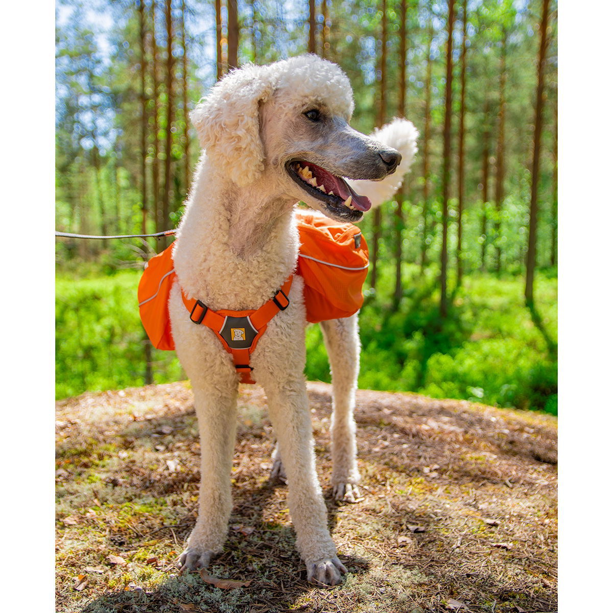Ruffwear Approach Pack, Campfire Orange