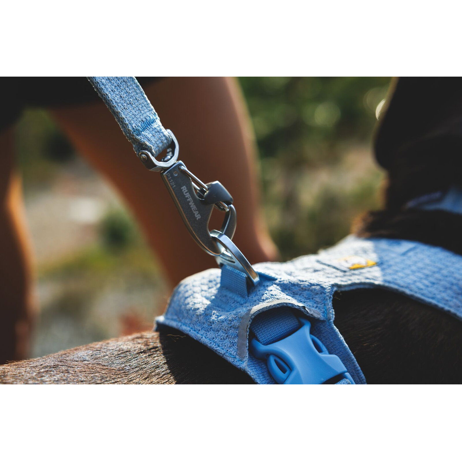 Ruffwear Front Range Flex Leash