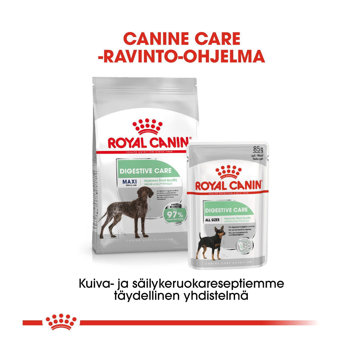 Royal Canin Maxi Digestive Care