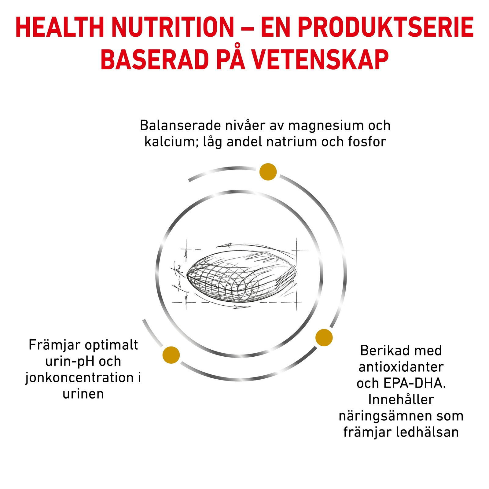 Royal Canin Veterinary Diets Urinary S/O Ageing 7+ koiran märkäruoka