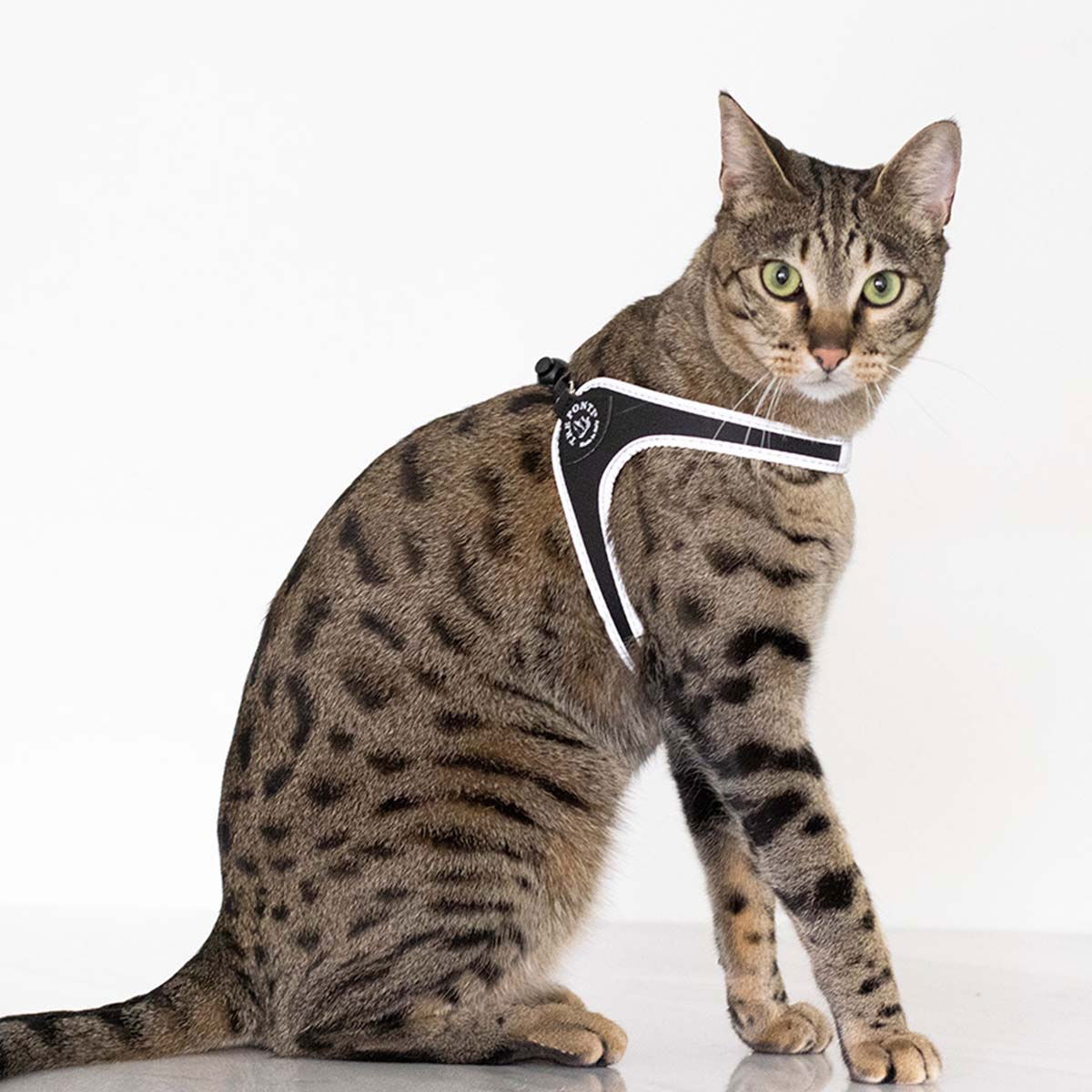 Tre Ponti Sele Basic Svart nr.1