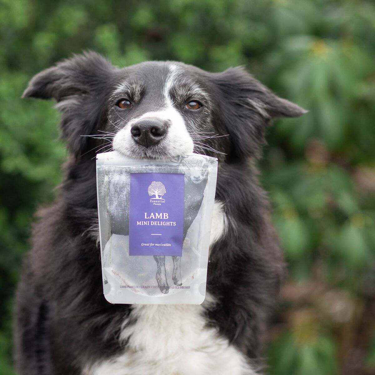 ESSENTIAL Lamb Mini Delights 100g