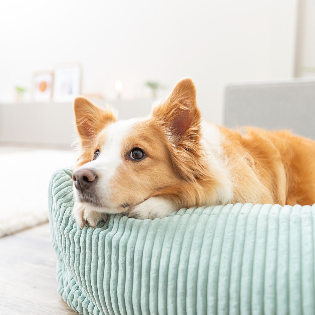 TR Vital Bed Jonna Sage