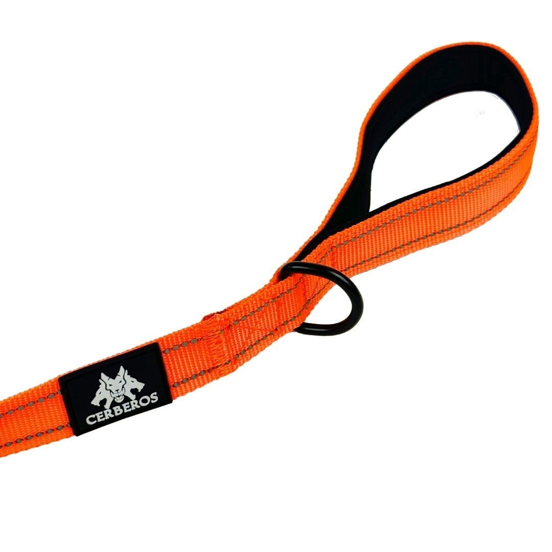 Cerberos Dog talutin oranssi 3m