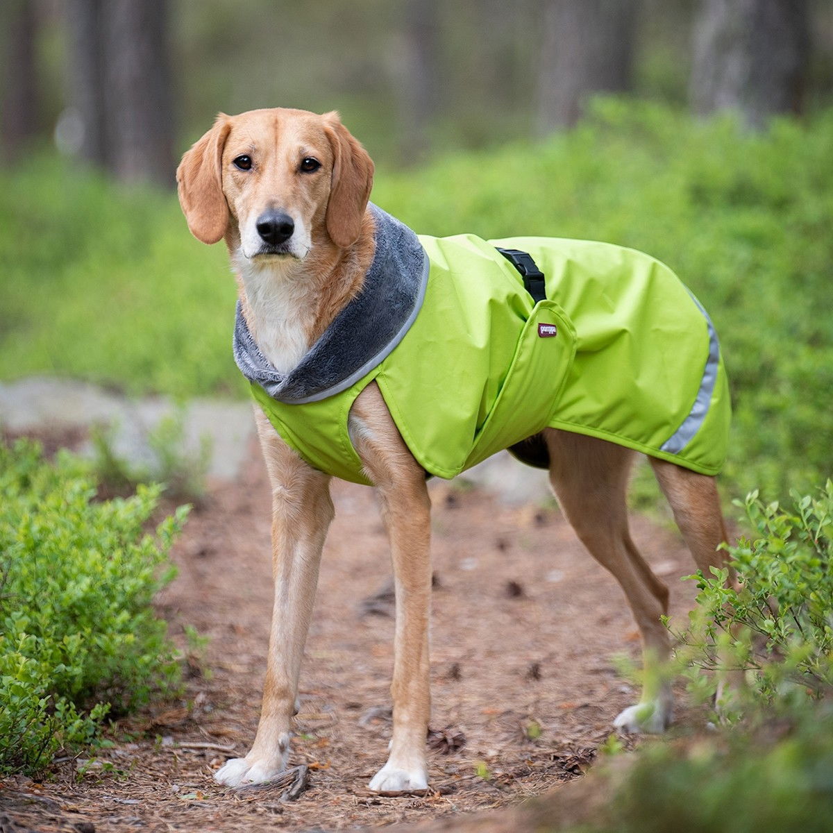 Pomppa Kevyt jacket, Lime